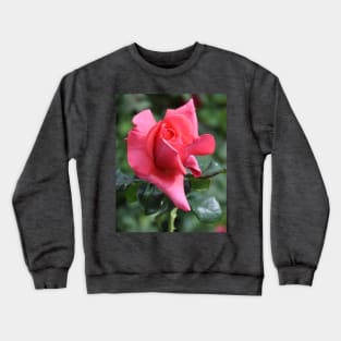 Rose Bud Crewneck Sweatshirt